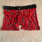 BOXER SPIDERMAN